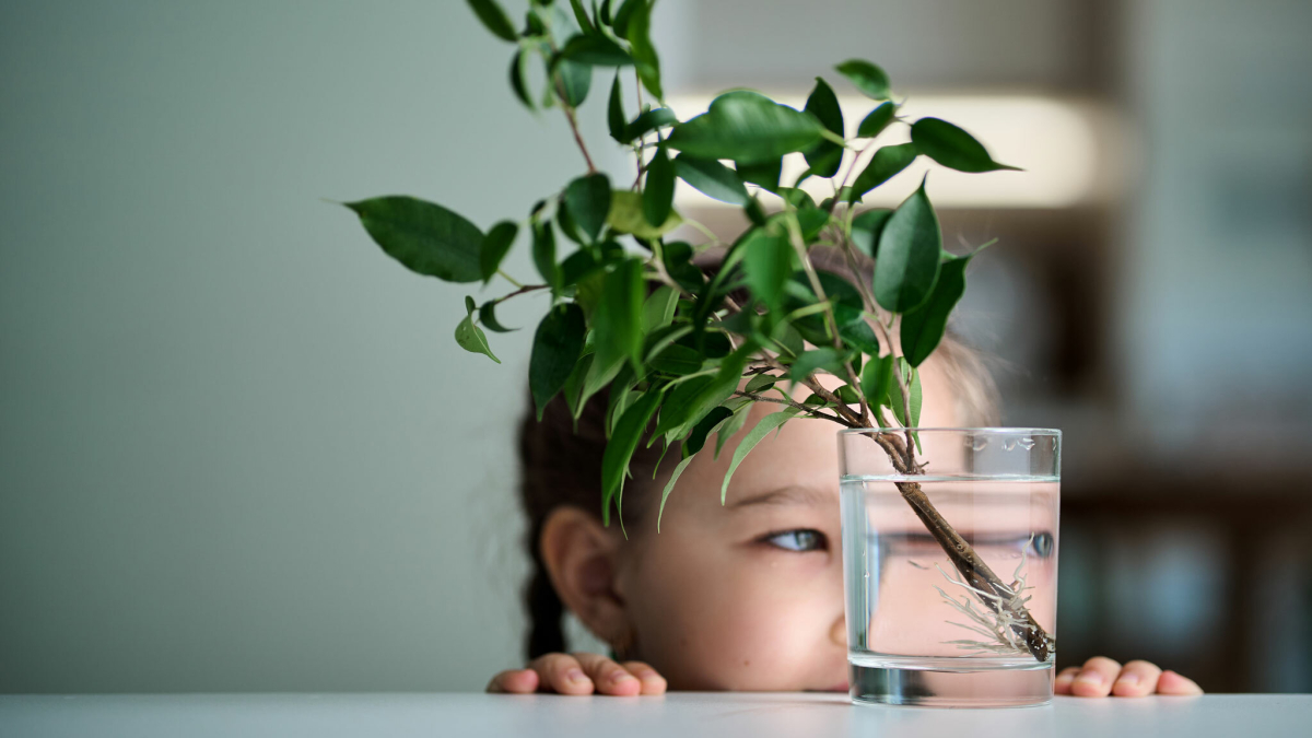 Mit ökologischem Wohlfühlglas Energie sparen und Bonus sichern